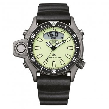 Promaster Diver